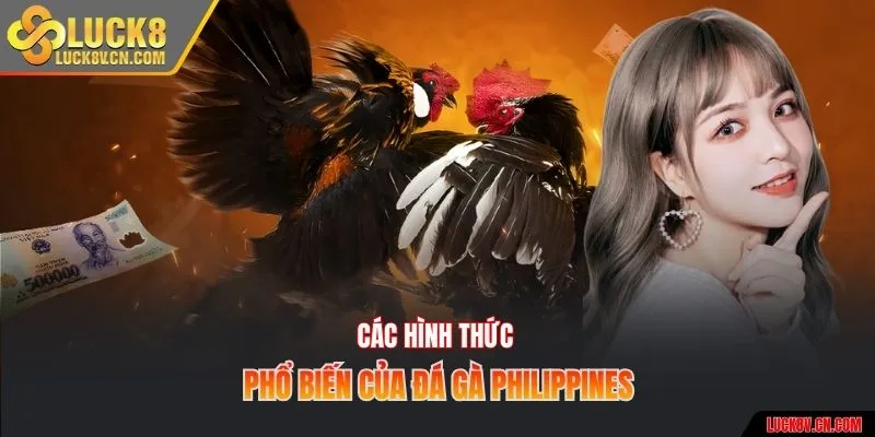 Các hình thức phổ biến của đá gà Philippines