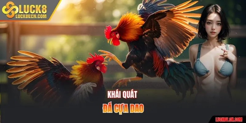 Khái quát đá cựa dao