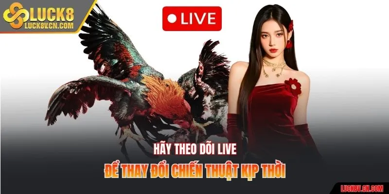 Hãy theo dõi live để thay đổi chiến thuật kịp thời