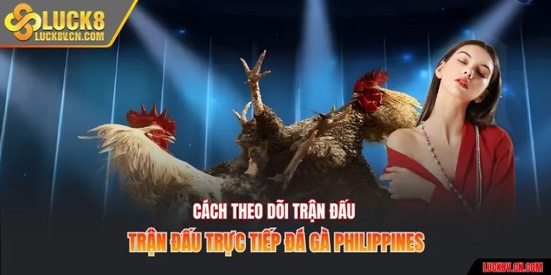 Cách theo dõi trận đấu trực tiếp đá gà Philippines