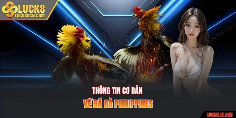 Thông tin cơ bản về đá gà Philippines